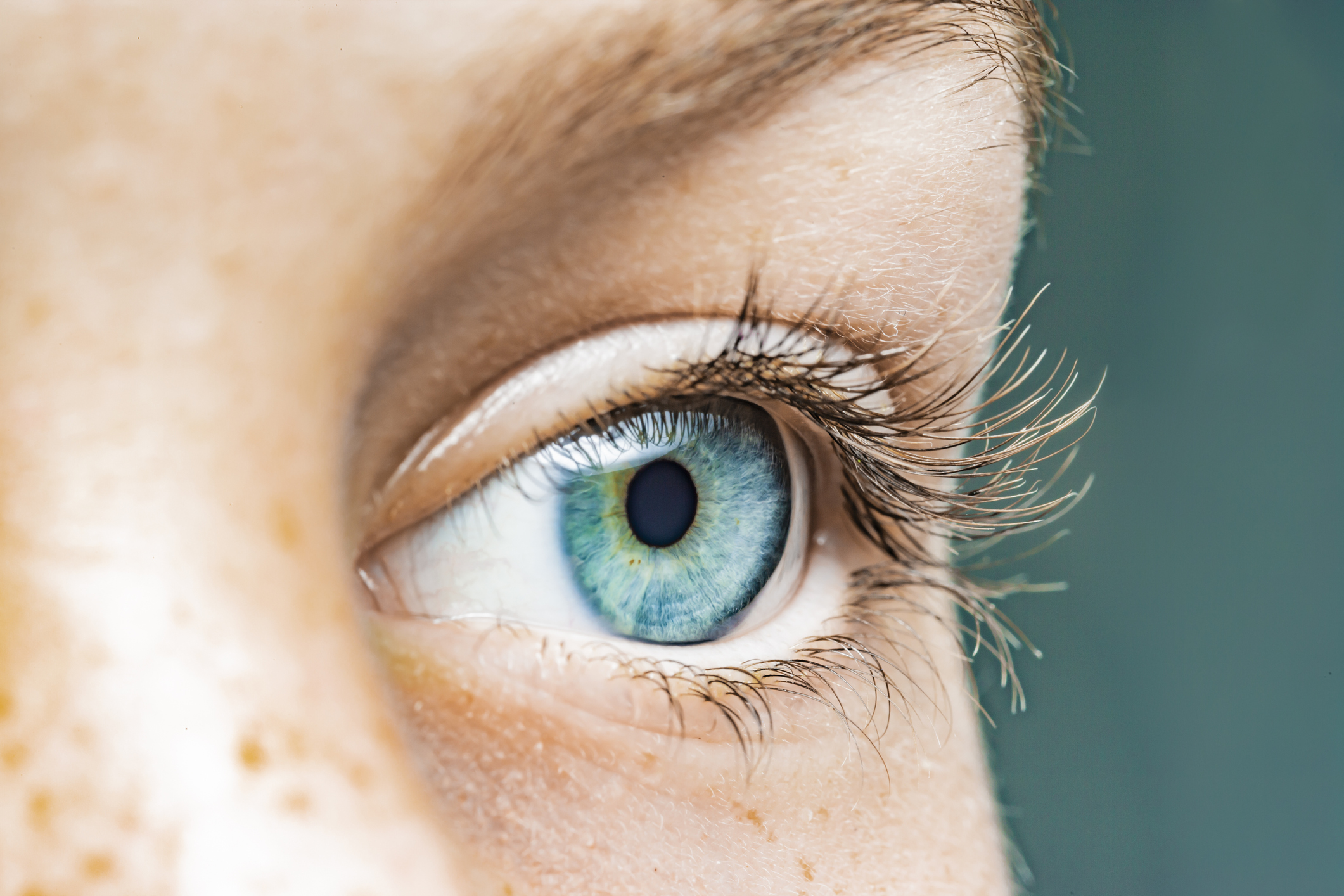 Close up of a human eye.